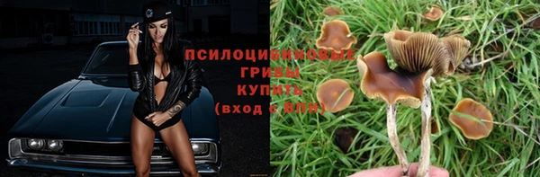 амф Абаза