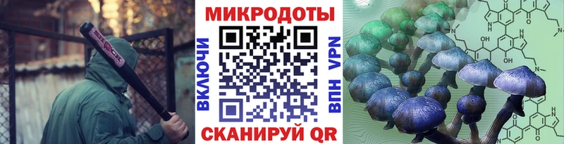 цены наркотик  Алейск  Псилоцибиновые грибы прущие грибы 